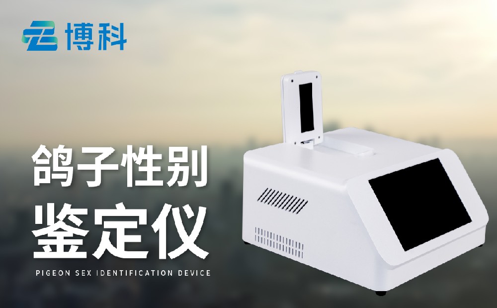 鸽子性别测定仪