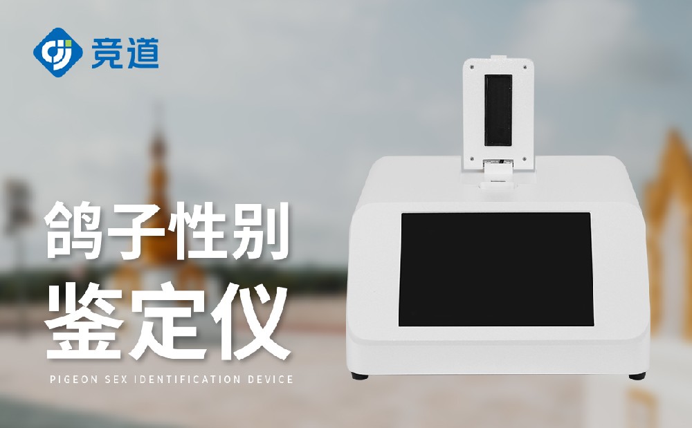 鸽子性别检测仪