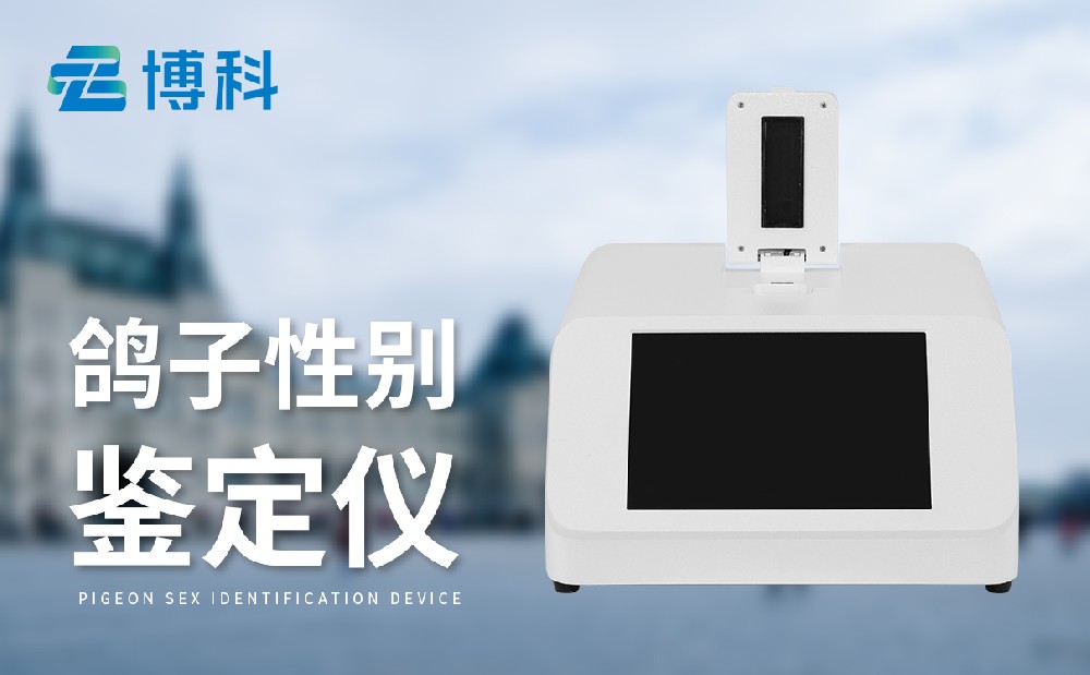 鸽子公母检测仪